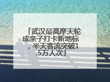 武汉最高摩天轮成亲子打卡新地标，半天客流突破1.5万人次