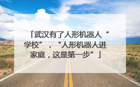 武汉有了人形机器人“学校”，“人形机器人进家庭，这是第一步”