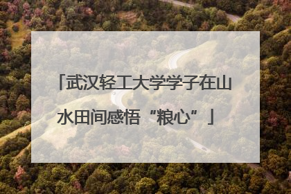 武汉轻工大学学子在山水田间感悟“粮心”