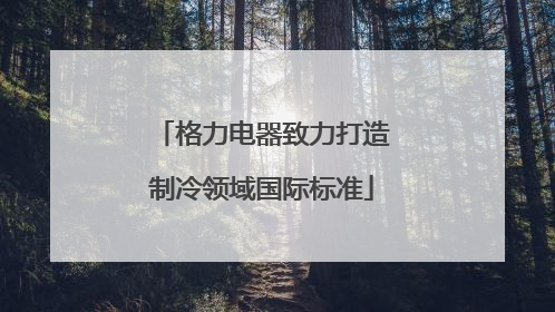 格力电器致力打造制冷领域国际标准
