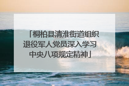 桐柏县清淮街道组织退役军人党员深入学习中央八项规定精神