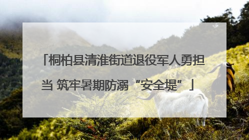 桐柏县清淮街道退役军人勇担当 筑牢暑期防溺“安全堤”