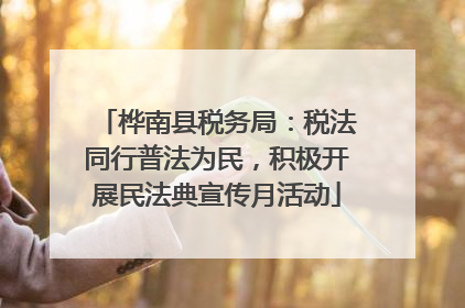 桦南县税务局：税法同行普法为民，积极开展民法典宣传月活动