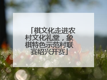 棋文化走进农村文化礼堂，象棋特色示范村联赛绍兴开赛