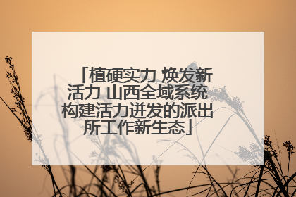 植硬实力 焕发新活力 山西全域系统构建活力迸发的派出所工作新生态