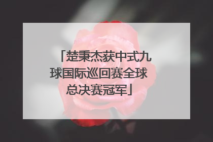楚秉杰获中式九球国际巡回赛全球总决赛冠军
