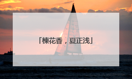 楝花香，夏正浅