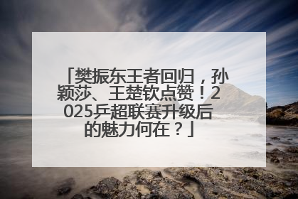 樊振东王者回归，孙颖莎、王楚钦点赞！2025乒超联赛升级后的魅力何在？