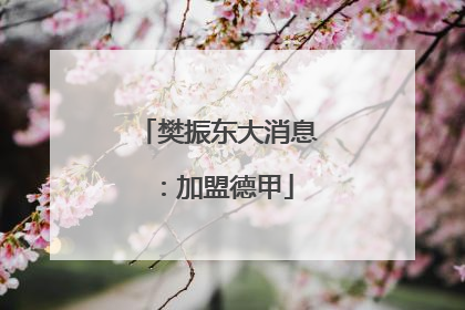 樊振东大消息：加盟德甲