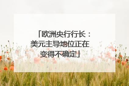 欧洲央行行长：美元主导地位正在变得不确定