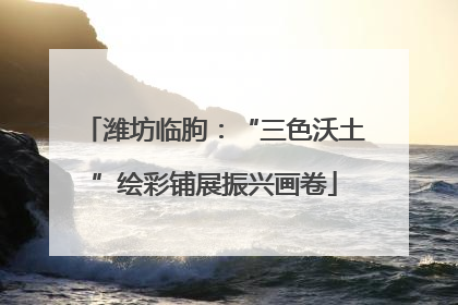 潍坊临朐：“三色沃土”绘彩铺展振兴画卷