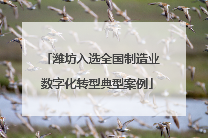 潍坊入选全国制造业数字化转型典型案例