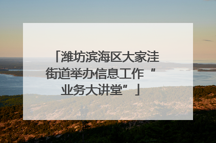 潍坊滨海区大家洼街道举办信息工作“业务大讲堂”
