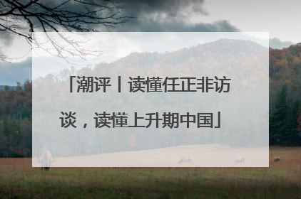 潮评丨读懂任正非访谈，读懂上升期中国