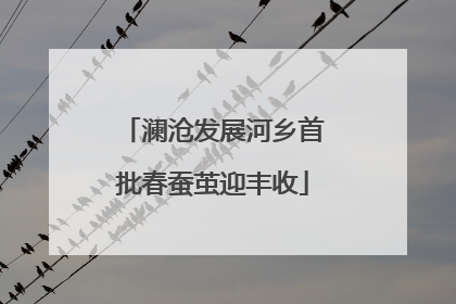澜沧发展河乡首批春蚕茧迎丰收