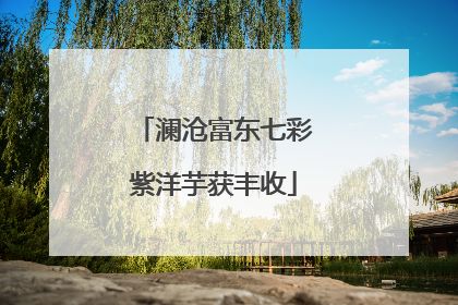 澜沧富东七彩紫洋芋获丰收