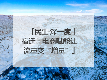 民生·深一度丨宿迁：电商赋能让流量变“增量”