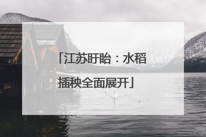 江苏盱眙：水稻插秧全面展开