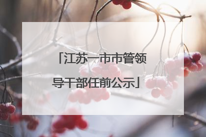 江苏一市市管领导干部任前公示