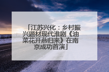 江苏兴化：乡村振兴题材现代淮剧《油菜花开燕归来》在南京成功首演