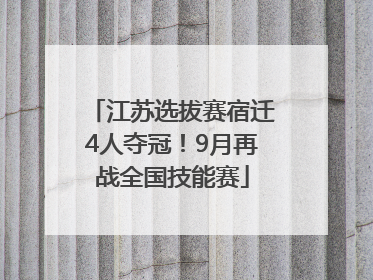 江苏选拔赛宿迁4人夺冠！9月再战全国技能赛