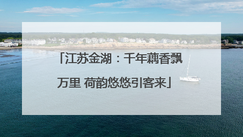 江苏金湖：千年藕香飘万里 荷韵悠悠引客来
