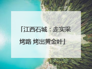 江西石城：走实采烤路 烤出黄金叶