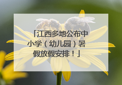江西多地公布中小学（幼儿园）暑假放假安排！