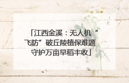江西金溪：无人机“飞防”破丘陵植保难题 守护万亩早稻丰收