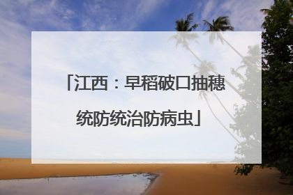 江西：早稻破口抽穗 统防统治防病虫