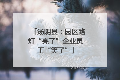 汤阴县：园区路灯“亮了”企业员工“笑了”