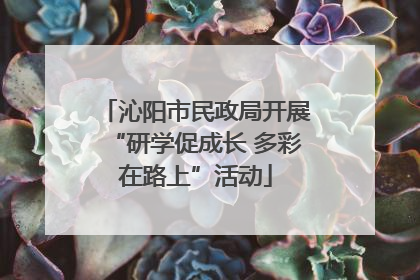 沁阳市民政局开展“研学促成长 多彩在路上”活动