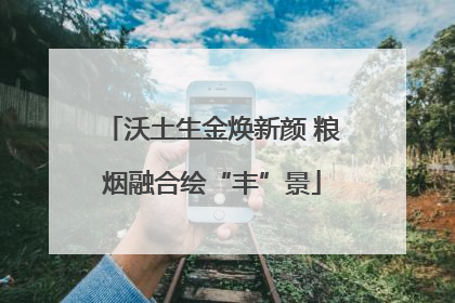 沃土生金焕新颜 粮烟融合绘“丰”景