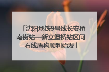 沈阳地铁9号线长安桥南街站—新立堡桥站区间右线盾构顺利始发