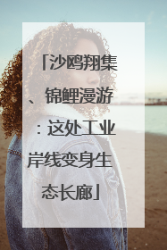 沙鸥翔集、锦鲤漫游：这处工业岸线变身生态长廊