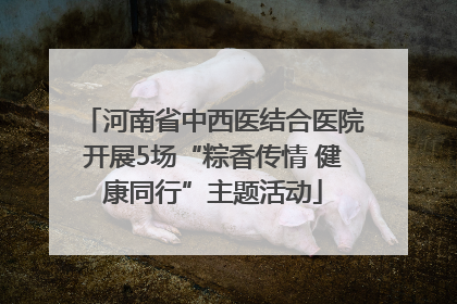 河南省中西医结合医院开展5场“粽香传情 健康同行”主题活动