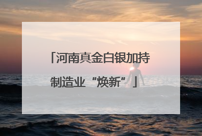 河南真金白银加持制造业“焕新”