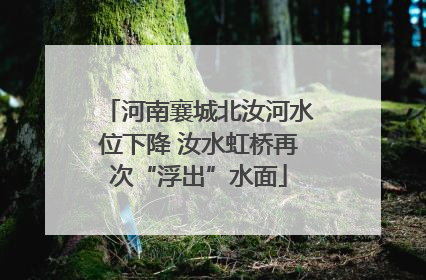 河南襄城北汝河水位下降 汝水虹桥再次“浮出”水面