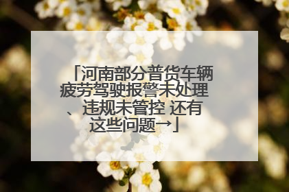 河南部分普货车辆疲劳驾驶报警未处理、违规未管控 还有这些问题→