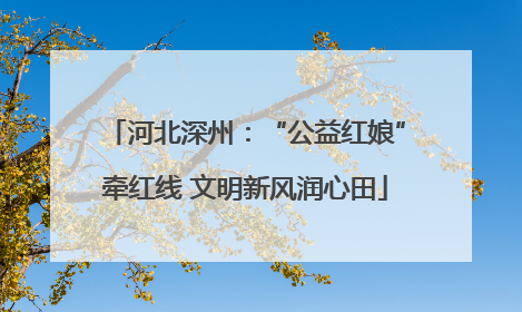 河北深州：“公益红娘”牵红线 文明新风润心田
