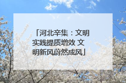 河北辛集：文明实践提质增效 文明新风蔚然成风