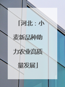 河北：小麦新品种助力农业高质量发展