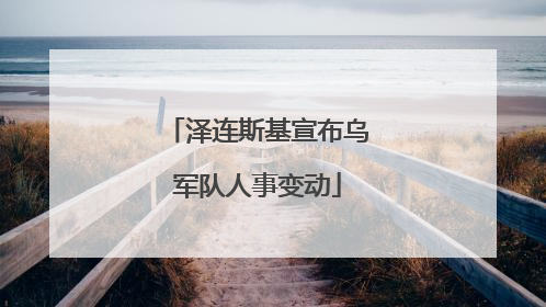 泽连斯基宣布乌军队人事变动