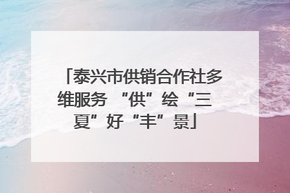 泰兴市供销合作社多维服务 “供”绘“三夏”好“丰”景