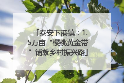 泰安下港镇：1.5万亩“樱桃黄金带”铺就乡村振兴路