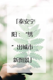 泰安宁阳：“绣”出城市新图景