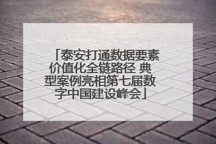 泰安打通数据要素价值化全链路径 典型案例亮相第七届数字中国建设峰会