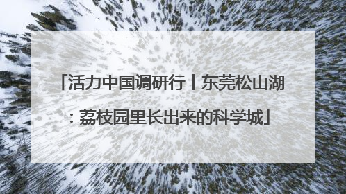 活力中国调研行丨东莞松山湖：荔枝园里长出来的科学城