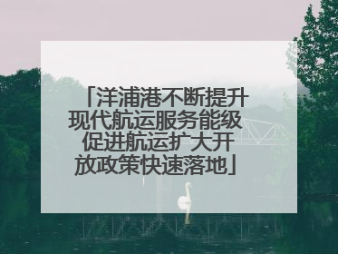 洋浦港不断提升现代航运服务能级 促进航运扩大开放政策快速落地