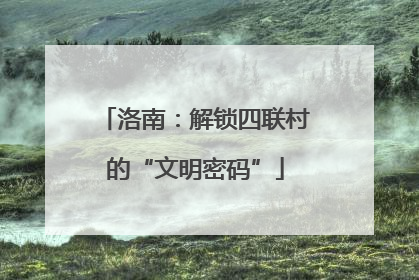 洛南：解锁四联村的“文明密码”